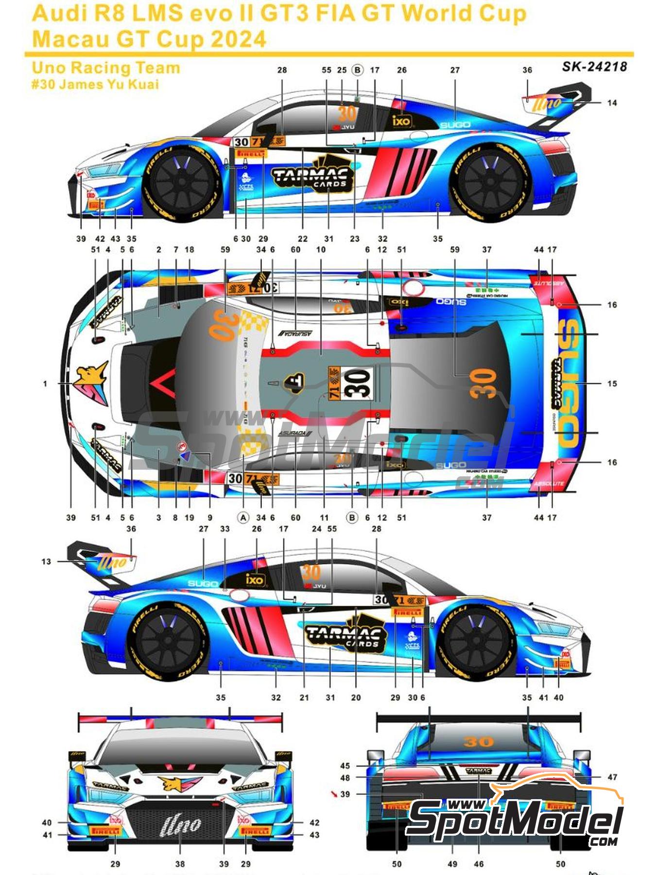 SK Decals SK-24218: Marking / livery 1/24 scale - Audi R8 LMS Evo